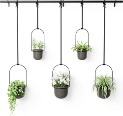 Plastové obaly na květináče v sadě 5 ks na bylinky/závěsné ø 7,5 cm Triflora – Umbra