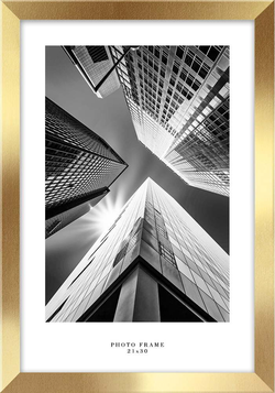 Nástěnný rámeček ve zlaté barvě Styler Floryda, 24 x 33 cm