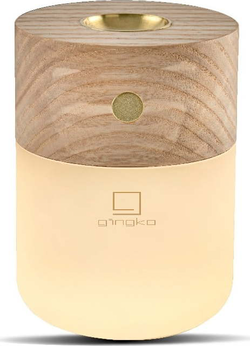 Elektrický difuzér Smart – Gingko