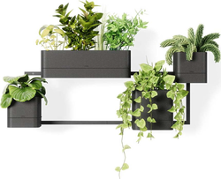 Závěsné plastové květináče na bylinky v sadě 4 ks Cubiko – Umbra