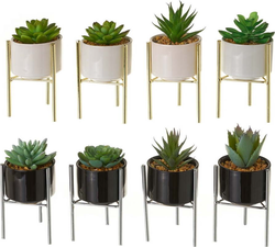 Umělé květiny v sadě 8 ks Cactus – Casa Selección