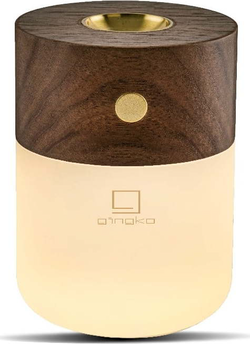 Elektrický difuzér Smart – Gingko